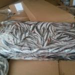 Хамса с/м брикет (1/20)