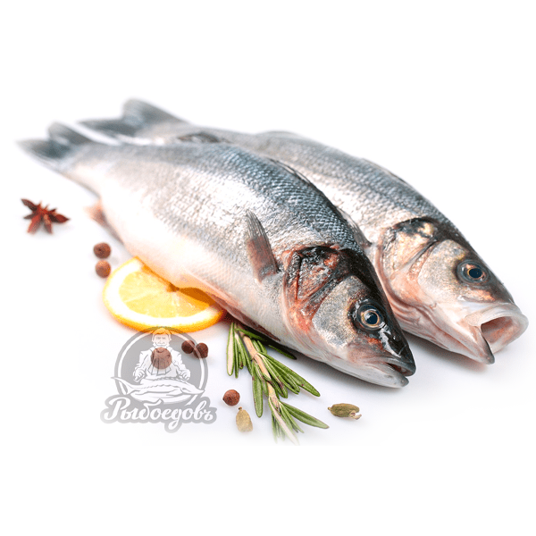 Сибас охлажденный не разделанный. 200-400