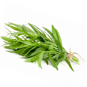 Тархун свежий