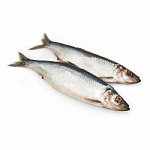 Сельдь атлантическая с/м н/р 380гр+ 14.5кг