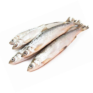 Ряпушка замороженная Якутия  25 см+ пласт 11кг