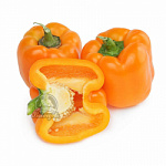 Перец оранжевый свежий