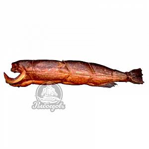 Щука г/к г/л "Золотая Рыбка"