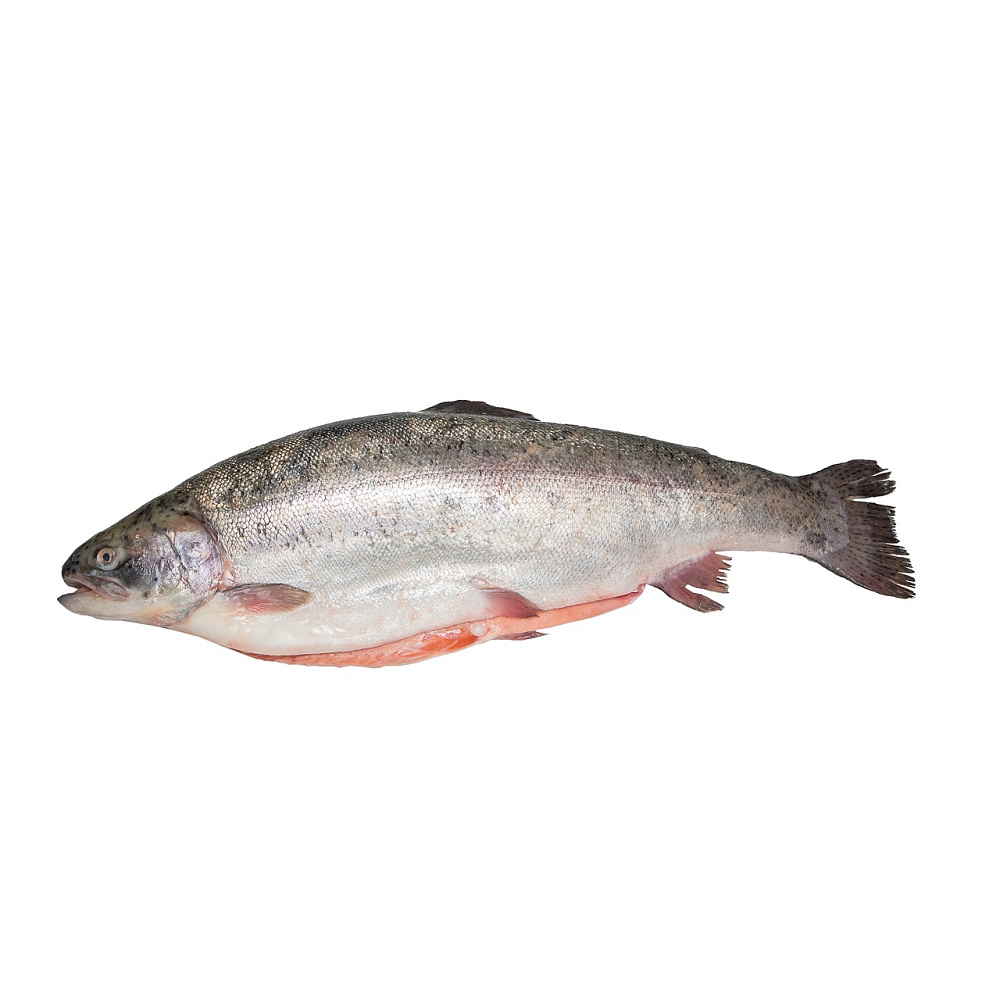 Форель охлажденная Premium 6-7кг (Турция)