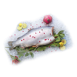 Форель  замороженная без головы 2-4кг (Турция)