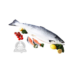 Семга замороженная 8-9кг PREMIUM (Чили)