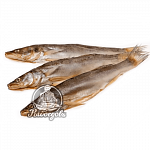 Судак вяленый