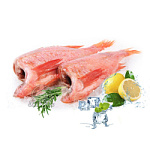 Окунь морской свежемороженый 300-500