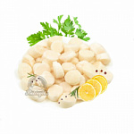 Гребешок морской, филе 40-60шт/кг 500г