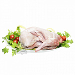 Кролик зернового откорма 1,5+