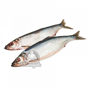 Иваси с/с "Арбатская" (1/15)