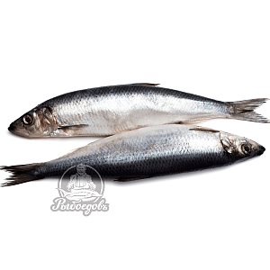 Салака замороженная с головой 16-18см