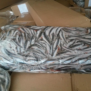 Хамса с/м брикет (1/20)