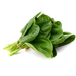 Щавель свежий