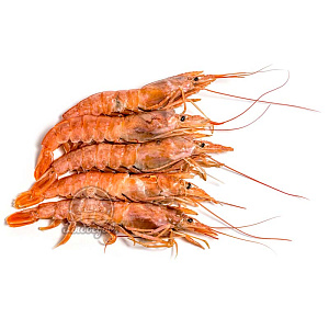 Креветка красная Аргентинская Лангустин с/м, с/г, L2 (21-30) 2 кг