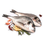 Дорада неразделанная охлажденная 400-500гр