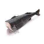 Масляная б/г 4-6 (вес.) Вьетнам