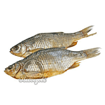 Вобла вяленая (24-27см)