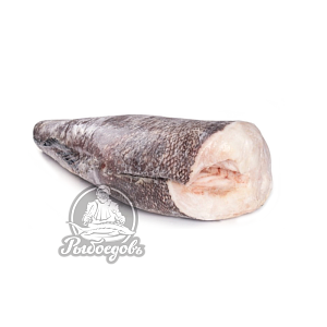 Сибас чилийский (Клыкач патагонский) замороженный тушка 5-6кг Сибас чилийский (Клыкач патагонский) замороженный тушка 5-6кг