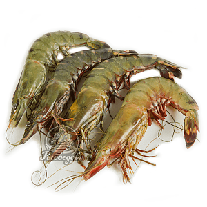 Креветки тигровые, размер 6/8