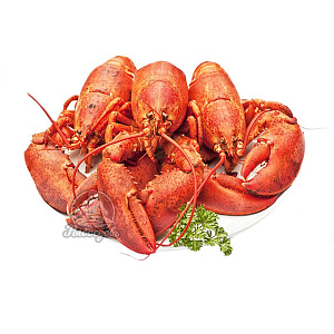 Раки живые 50-70 Вареные под заказ (доставляем от 3кг)