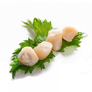 Гребешок морской, филе 10-20шт/кг, 300гр 2024г