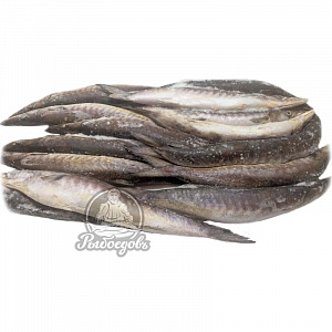 Барракуда 500-100 (1/10)