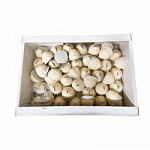 Печенье сдобное Мистер Мандарин Сладис 1,7кг