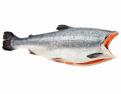 Чавыча замороженная без головы 8-10кг