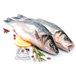 Сибас охлажденный не разделанный. 200-400