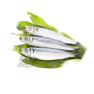 Салака штучная заморозка 16-18см 15кг