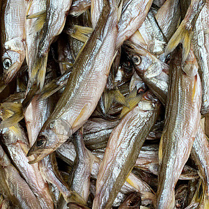 Корюшка вяленая с икрой, мелкая 13-18см