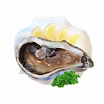 Устрицы Фин де Клер живая, 2 размер 80гр (от 12 шт)