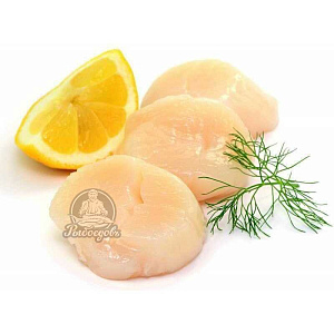 Морской гребешок MS 10/20 глазурь 10% 