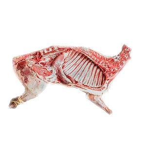 Ягненок половинка тушки, замороженная, вес 5-6 кг (деликатес), Дагестан