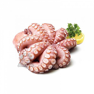 Осьминог целый Индонезия 4-6кг