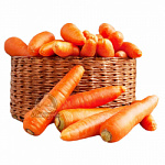 Морковь свежая (Поступление каждое утро)