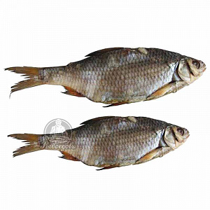 Плотва вяленая крупная 100-200г