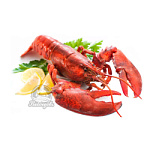 Раки живые  90-110 крупные Вареные под заказ (доставляем от 3кг)