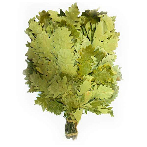 Веник дубовый