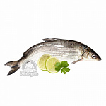 Сиг охлажденный Севанский Армения 300-500гр