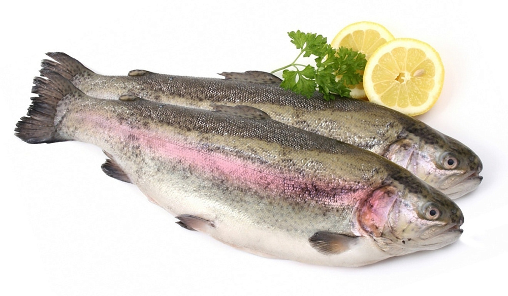 Форель охлажденная, Карелия 2-3кг