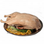 Гусь домашний Краснодар 3,5-4,5кг