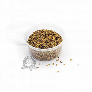 Пыльца пчелы