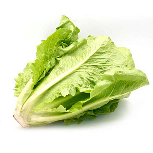 Салатные листья Романо 500гр+