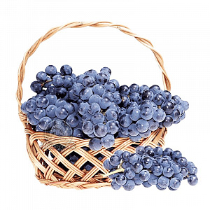 Виноград черный свежий Узбекистан (Поступление каждое утро)