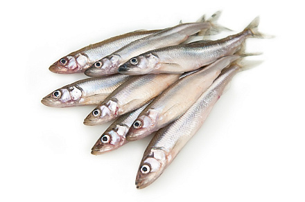 Корюшка дальневосточная с/м