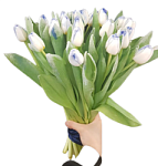 Букет №6 снежные тюльпаны