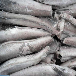 Полака тушка 250+ (вес.)