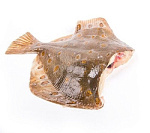 Камбала СЕВЕРНАЯ БГ Тушка